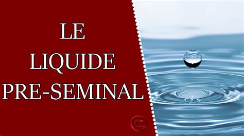 liquide séminal rôle|Définition 